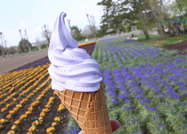 Nakafurano Town: Lavender Soft Cream - Enjoy the aroma of lavender and quality sweetness!