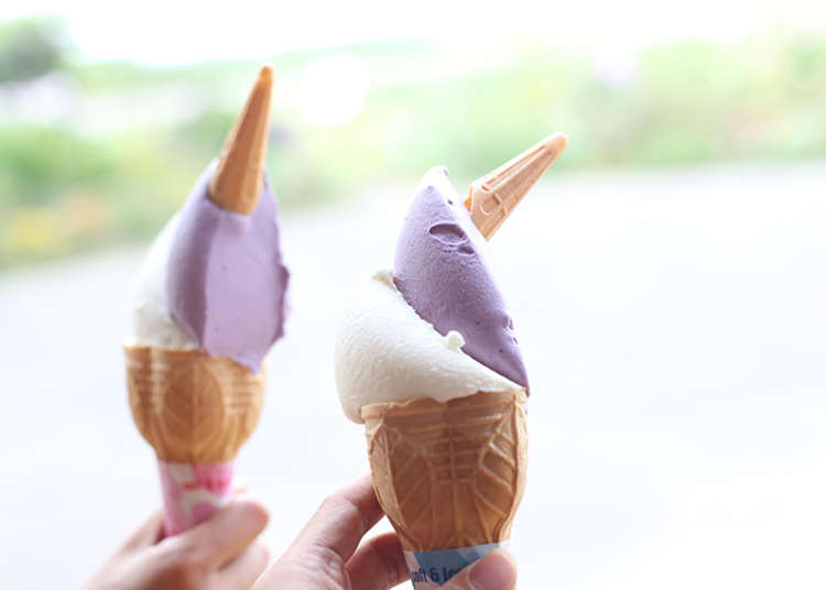 Rich & Refreshing! Hokkaido’s Top 5 Must-Try Soft-Serve Ice Creams