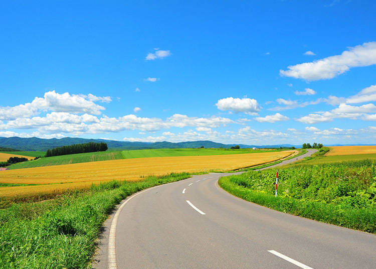 北海道夏季(6~8月)的平均氣溫・降水量