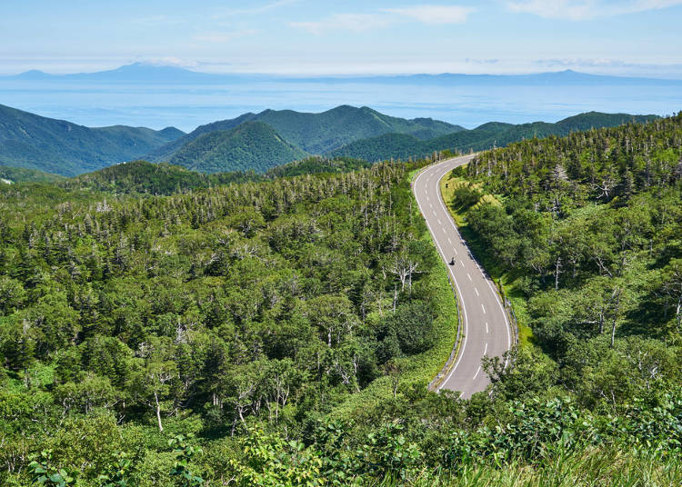 1. Hokkaido is much larger than Tokyo or Osaka! Make sure you plan accordingly.