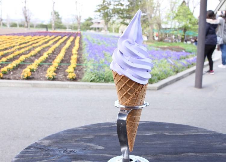 Lavender Soft-Serve Ice Cream, a Must Eat at Farm Tomita!