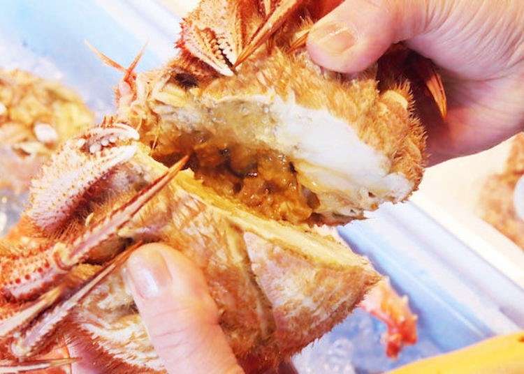 Things to do in Sapporo: Exploring Nijo Market - Fresh Seafood Bowls & Crab!