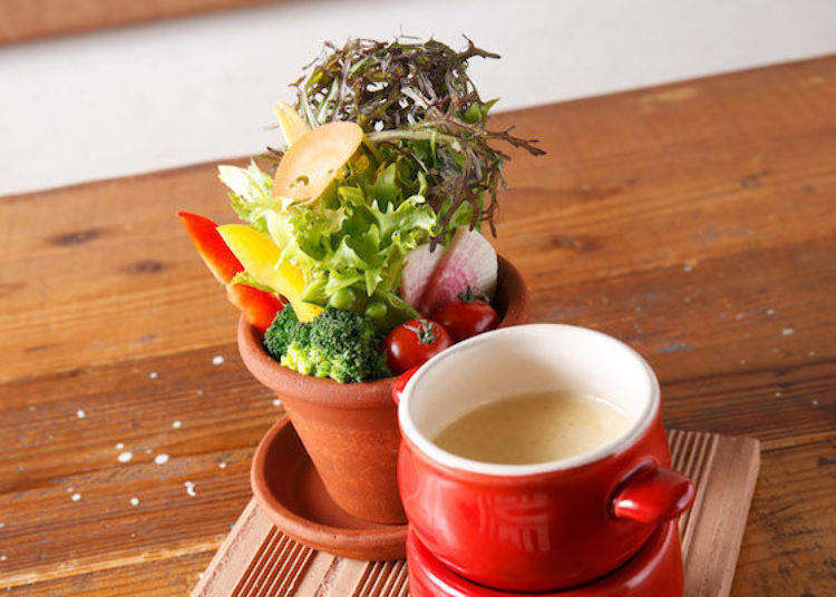 Recommended for women travelling together! 3 can’t-miss night spots in Susukino, Sapporo