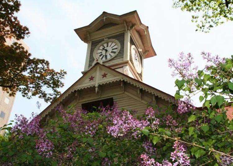 What’s the best way to enjoy taking photos of the Sapporo Clock Tower?