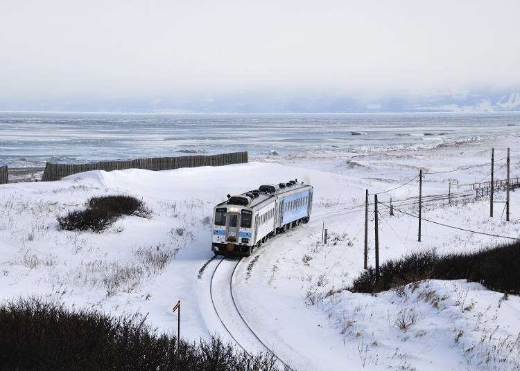 Travel Hokkaido by Train! Complete Guide to Rail Passes and Seasonal Sightseeing Trains