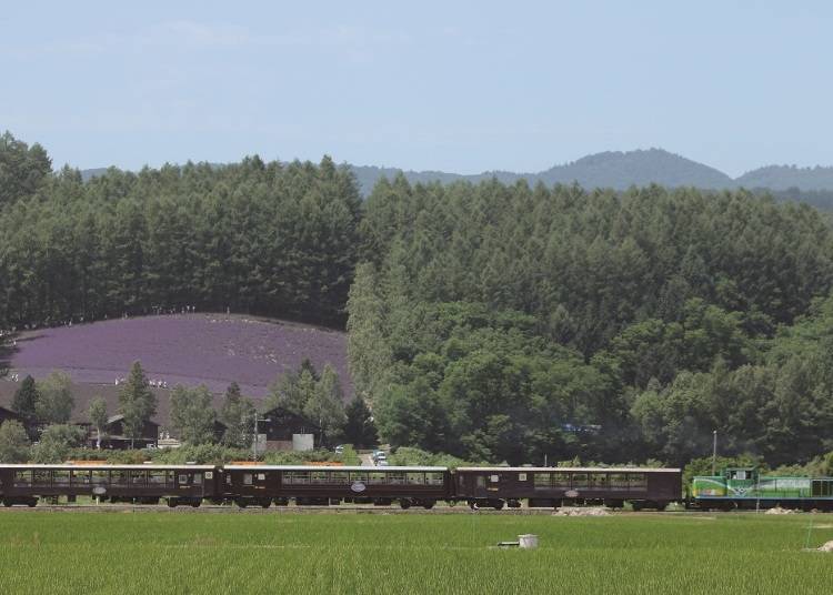 Feel the wind within the lavender fields! Seasonal Railway
No. 2. Furano/Biei Norokko Train