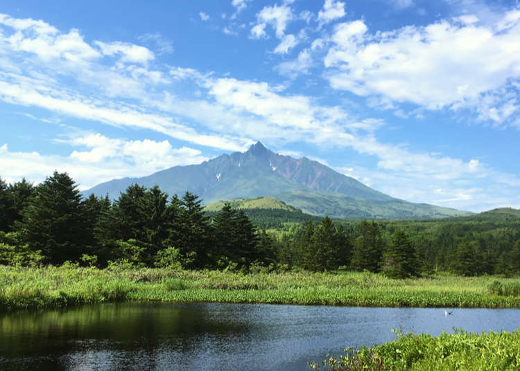 到「白色戀人」包裝上所繪製的北海道利尻山,來趟大自然美景之旅吧!