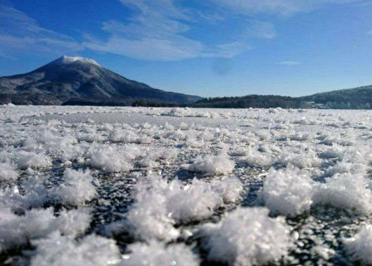 Visiting Hokkaido: Journey to Lake Akan, Home to Unique National & Cultural Treasures!