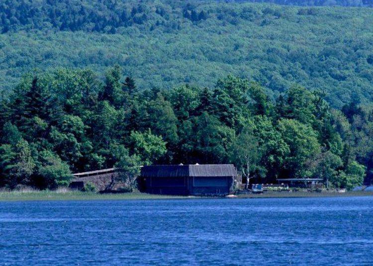 Hokkaido’s Chuurui Island and the Secret of the Marimo