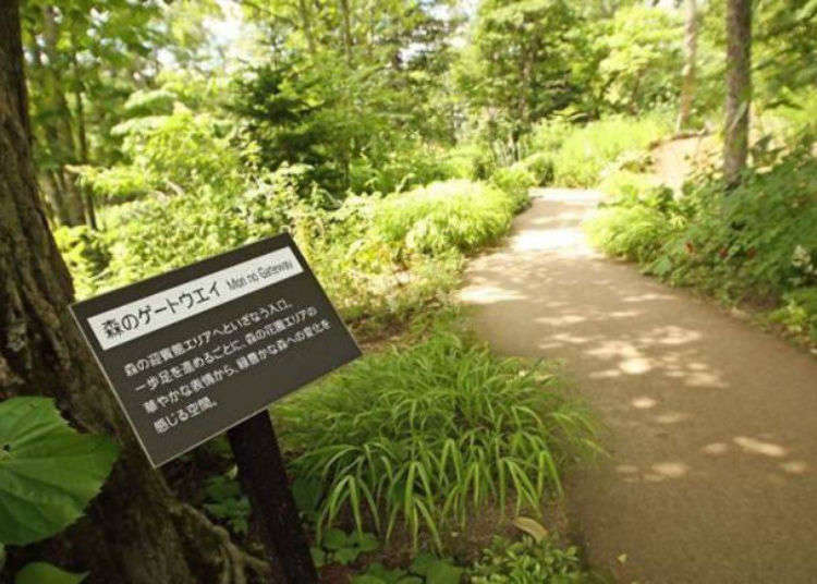 Hokkaido Sightseeing: Enjoy an elegant holiday at the soothing Daisetsu Mori-no Garden!