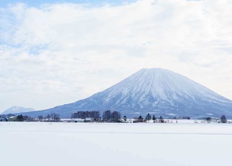 從北海道的玄關「新千歲機場」前往「二世谷」的各種交通方式