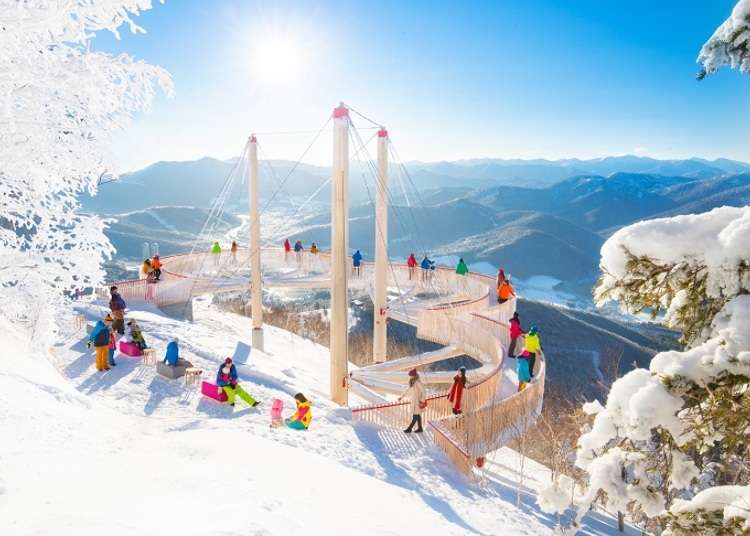 Muhyo Terrace: Check out these incredible frozen winter landscapes in Hokkaido!