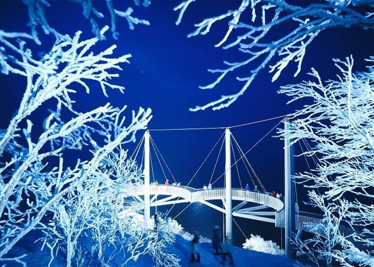 The Illuminated Muhyo Terrace is like a mystical dream!