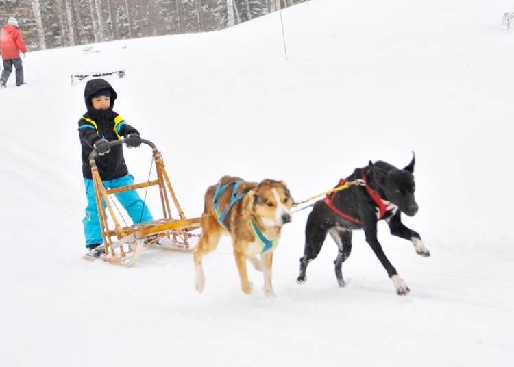 ■ Fun snow activities unique to Hokkaido