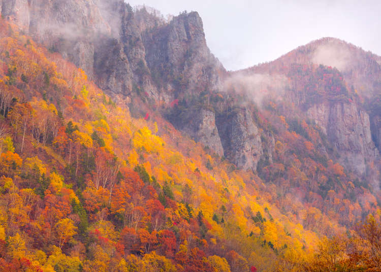 Enjoy the Vista of the Snow-covered Mountains at Sounkyo from the Kurodake Ropeway!