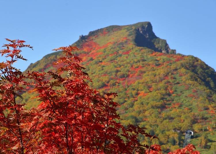 Try reaching the summit on foot from the seventh station