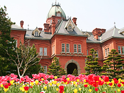 札幌、千岁的概要.历史