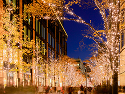 11月上旬~2月中旬 丸の内イルミネーション