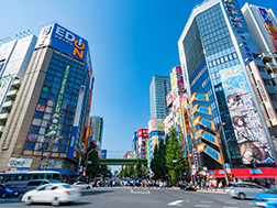 中央通り周辺エリア