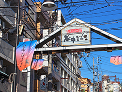 Area Yanaka