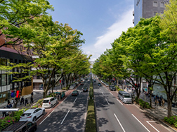 Omotesando