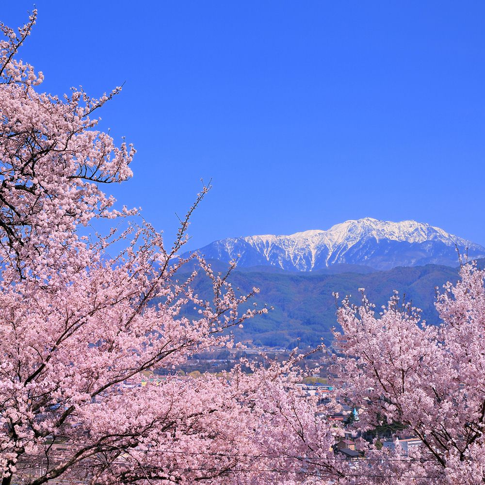 Spring