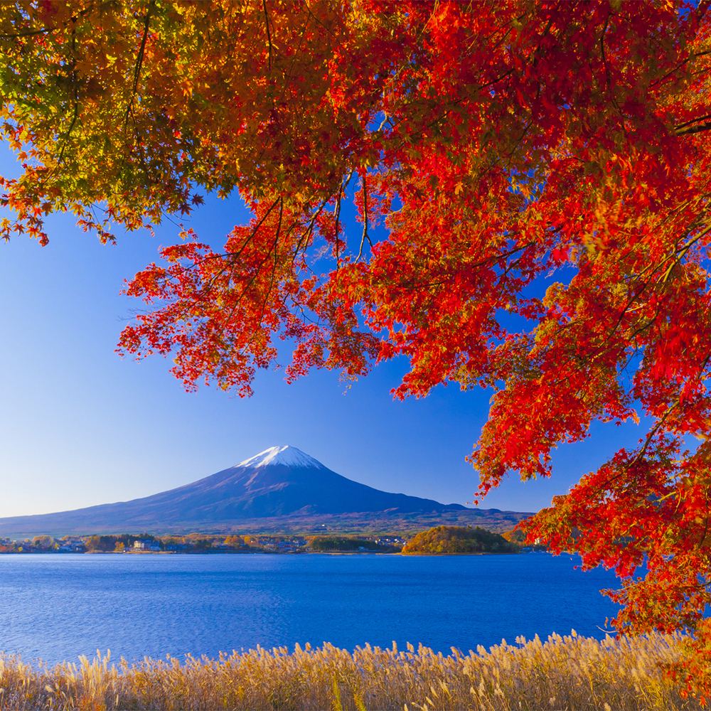 Seasons