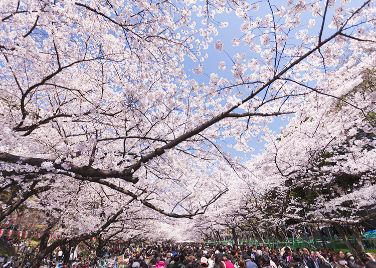 Ueno