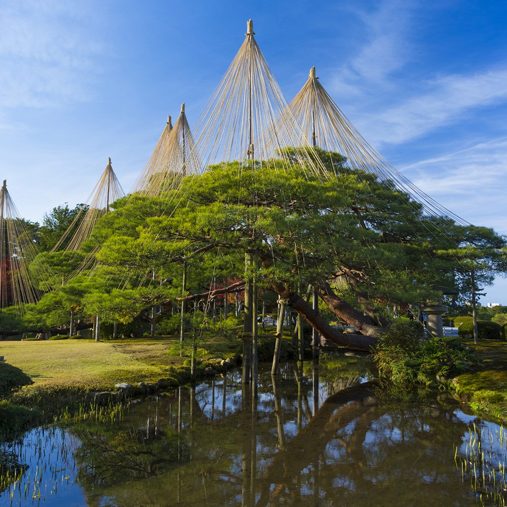 Gardens