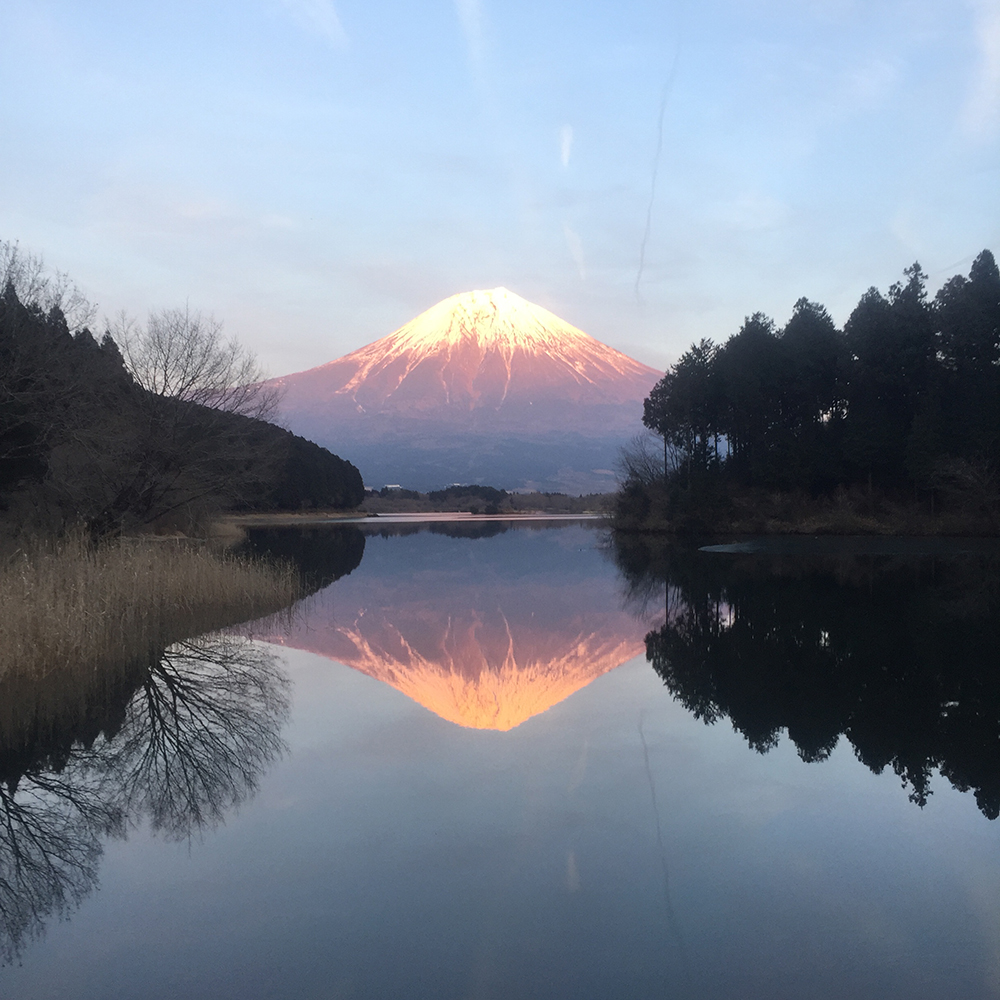 JAPAN　LIMOUSINE　SERVICE 서비스 일람 - LIVE JAPAN ( 일본의 여행·관광·체험 가이드 ) JAPAN　LIMOUSINE　SERVICE 서비스... 