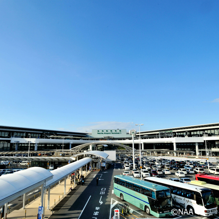 《東京成田機場人氣必買伴手禮TOP10大評選【附優惠券】》