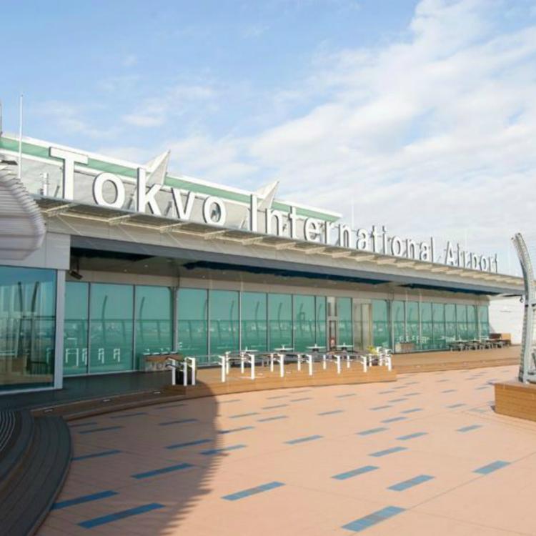The Complete Guide to Haneda Airport Arrival Lobby LIVE JAPAN