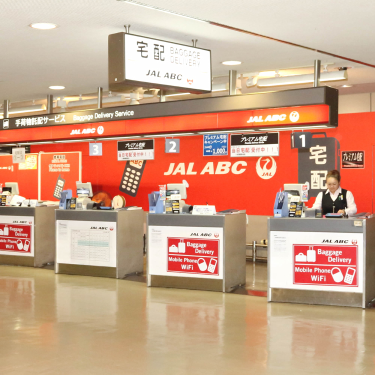 jal check in baggage